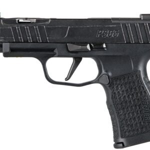 SIG SAUER P365 XL Spectre